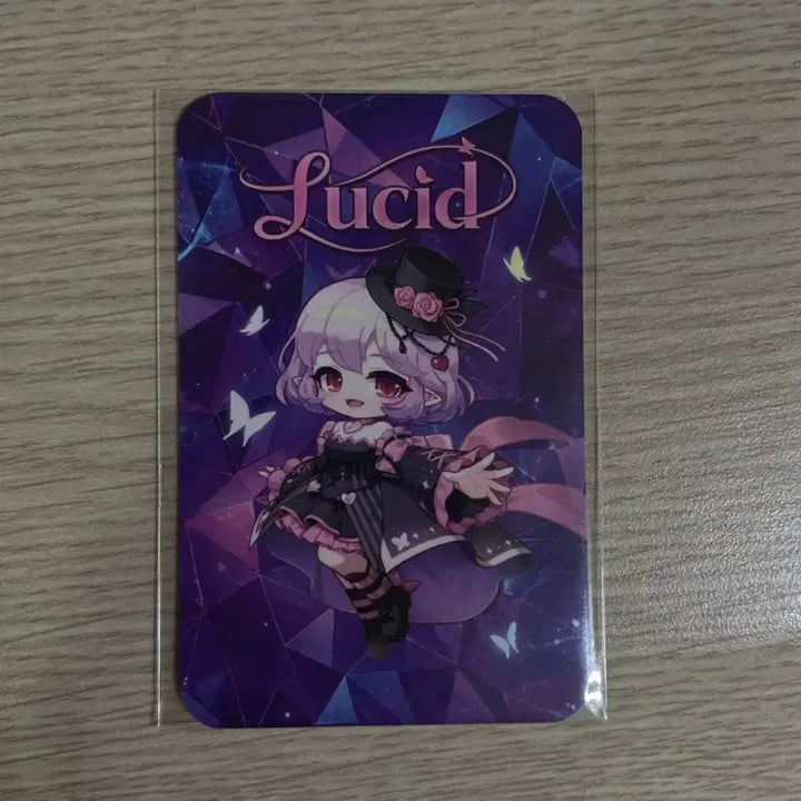 [BUNJANG] Lucid Photocard / (한정판)루시드 포토카드 메이플