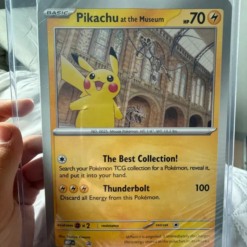 [BUNJANG] Pikachu Museum Card Graded / 피카츄 박물관카드 등급용