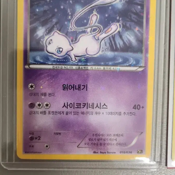[BUNJANG] Pokemon Card Bundle / 포켓몬카드 급처