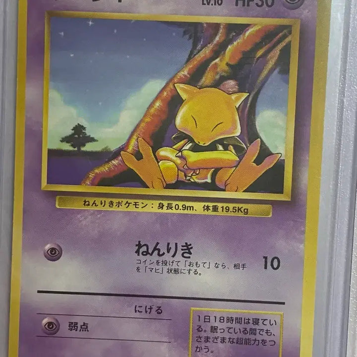 [BUNJANG] Pokemon Card Casey 