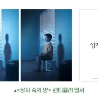 [BUNJANG] CGV 3rd Week Lenticular Postcard Green Set / 3개 세트) 상자속의양 렌티큘러 그린 엽서 cgv 3주차 굿즈 특전