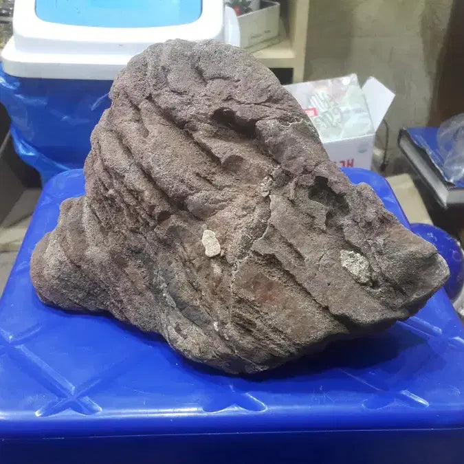 [BUNJANG] Unique Natural Stone Display (24 x 17 cm) / 대한민국 수석 1