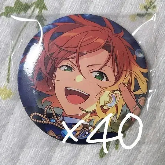 [BUNJANG] Ensemble Stars Twinkle Innocent Hinata Aoi Hakodate Big Ocean Can Badge Set / 앙스타 트윙크 히나타 하코 빅오션 캔뱃지 이베코레 일괄