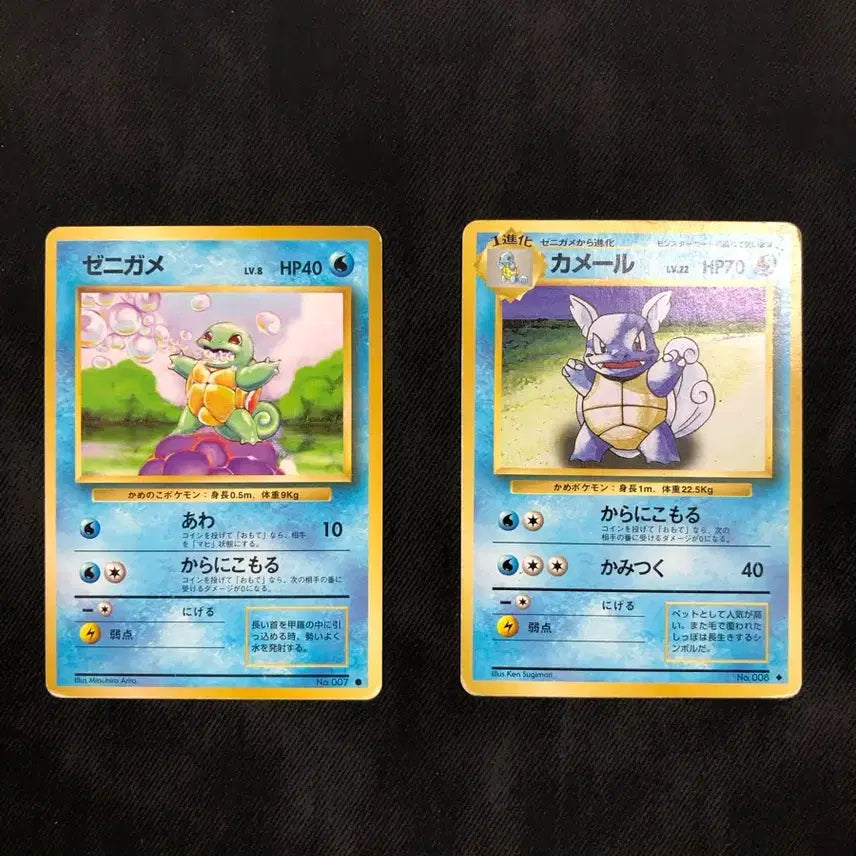 [BUNJANG] 1996 Japanese Squirtle &amp; Wartortle Old Back Card / 초판 꼬부기,어니부기