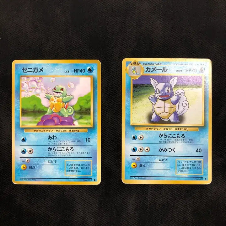 [BUNJANG] 1996 Japanese Squirtle &amp; Wartortle Old Back Card / 초판 꼬부기,어니부기