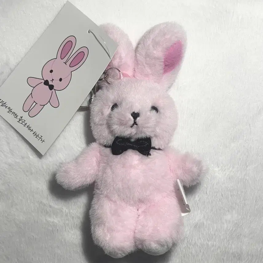 [BUNJANG] Gye-dam Chul-geun (Scary Story Commute) Brown Plush Keychain / 괴담출근 괴출 착한친구 착친 브라운 인형 키링