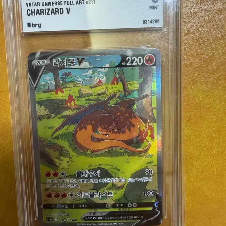 [BUNJANG] Charizard V Special Illustration Rare Graded Card / 리자몽V 특일 brg 9