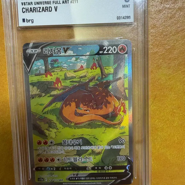 [BUNJANG] Charizard V Special Illustration Rare Graded Card / 리자몽V 특일 brg 9