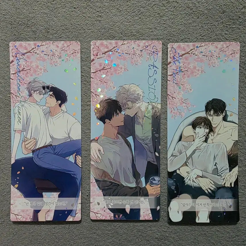 [BUNJANG] NOCTUA Jang Hyung Bundle Set Photocard / 녹티아 장형 포토카드  일괄  판매