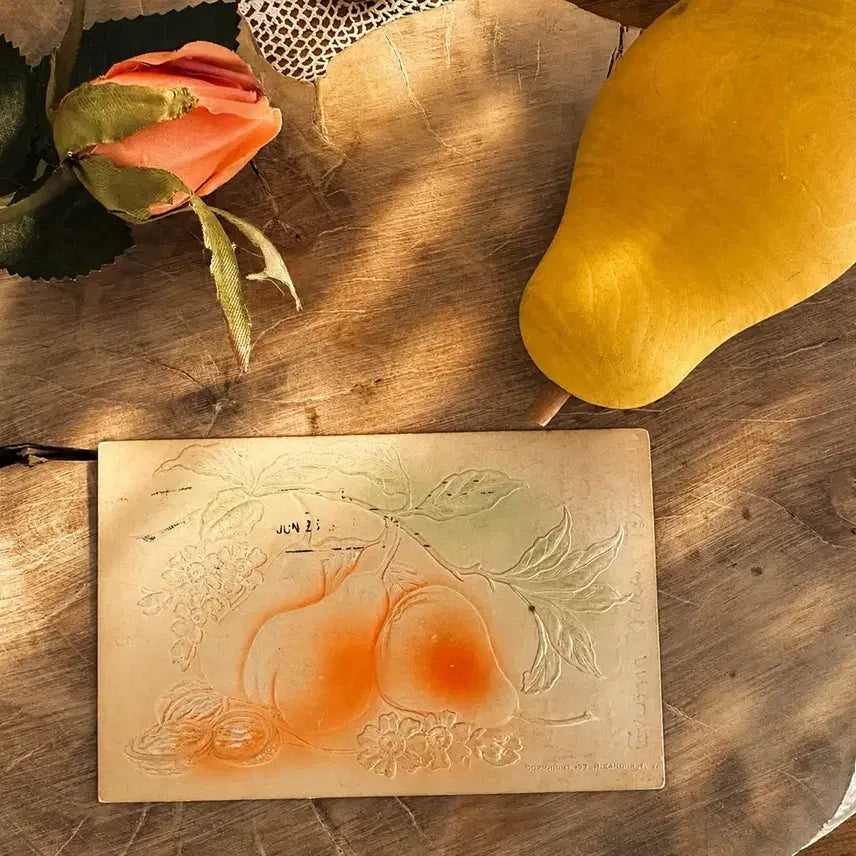 [BUNJANG] Antique Embossed Pear Postcard / 앤틱엽서 입체양각  오렌지 서양배