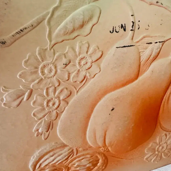[BUNJANG] Antique Embossed Pear Postcard / 앤틱엽서 입체양각  오렌지 서양배