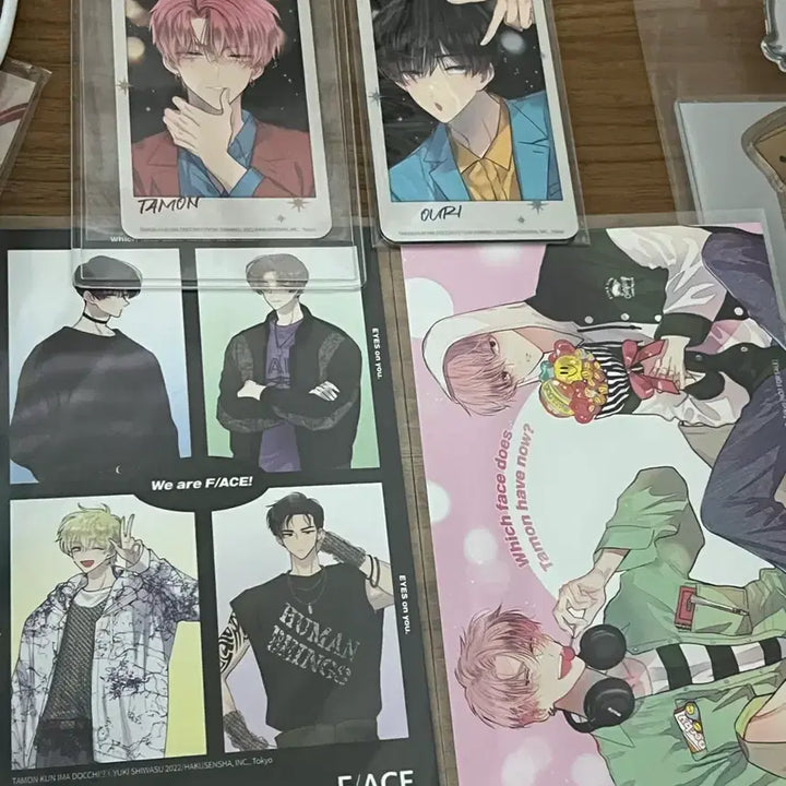 [BUNJANG] Tamonskun Now Which Way?! Vol. 6 Limited Edition Set with Photobook, Illustration Card, and Poster / 타몬군 지금 어느쪽?! 6권 특전+화보집,일러스트카드+포스터 판매합니다