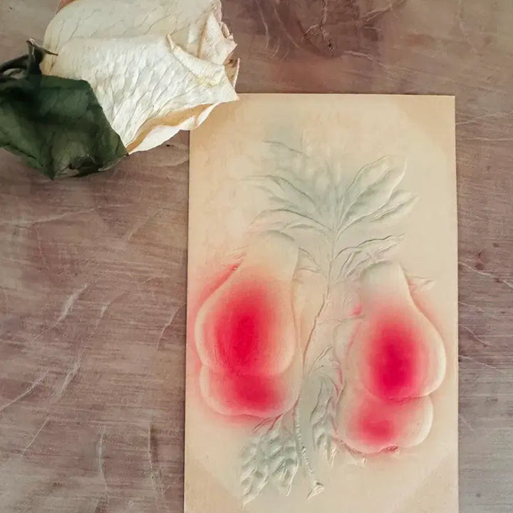 [BUNJANG] Antique Embossed Western Pear Postcard / 앤틱엽서 입체양각 피치핑크 서양배