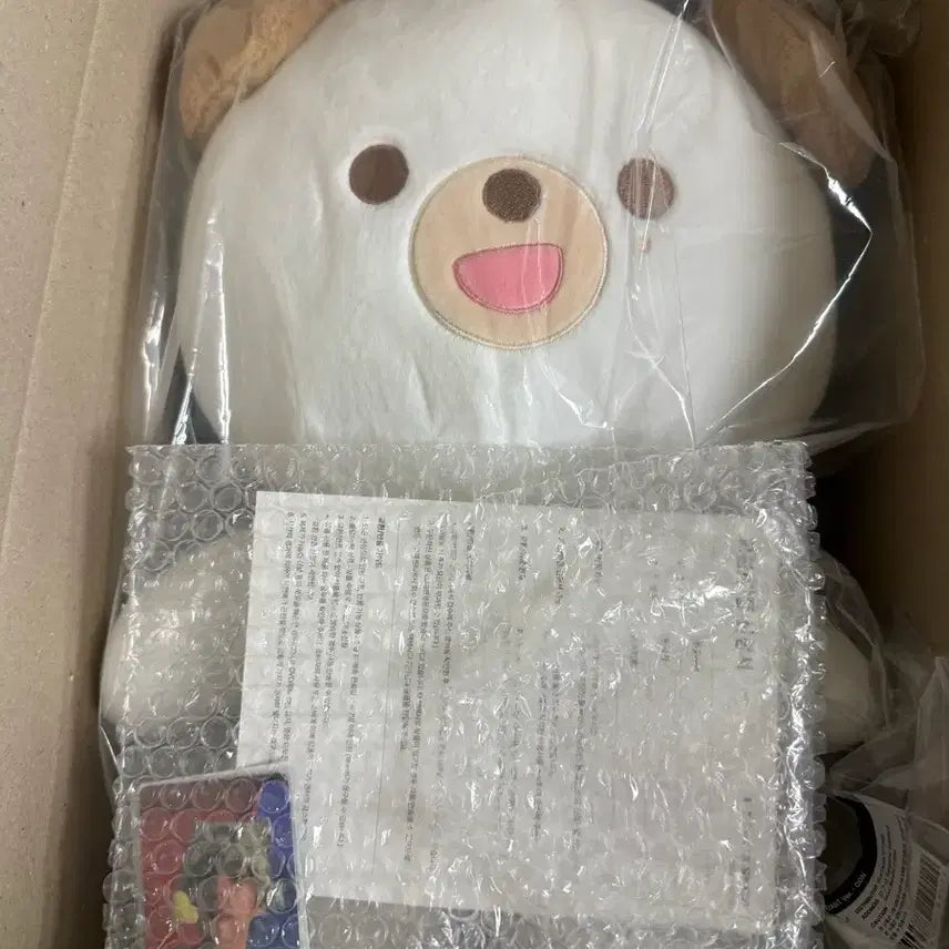 [BUNJANG] Day6 Giant Petit Merz Don Photocard / 데이식스 자이언트 쁘띠멀즈 돈(포카O)