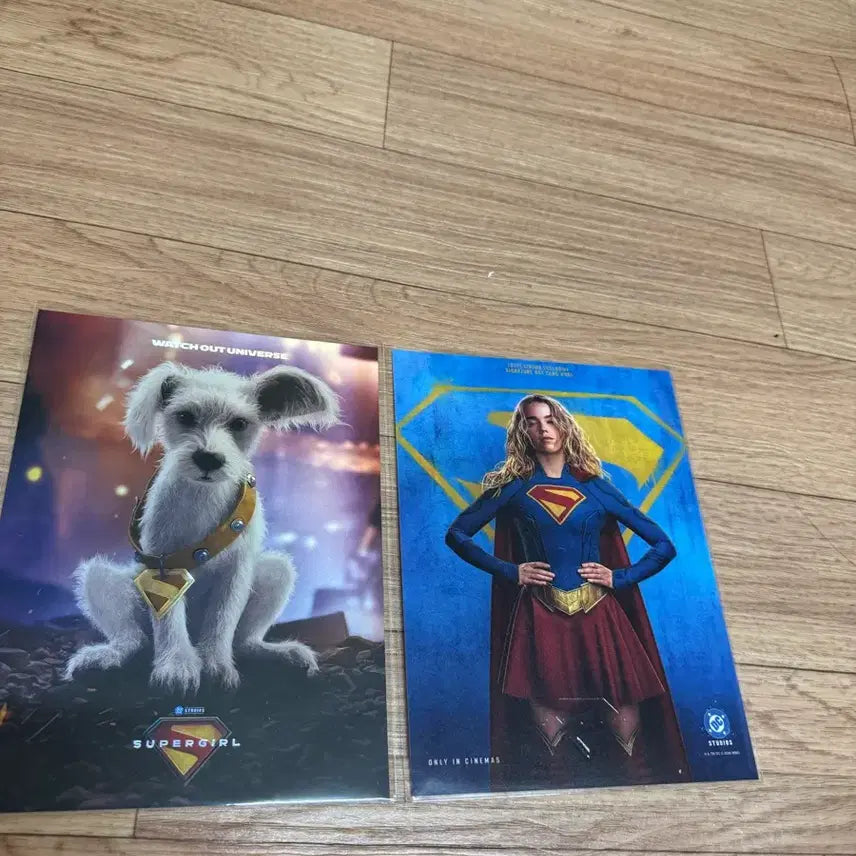 [BUNJANG] Supergirl Art Card / 슈퍼걸 아트카드