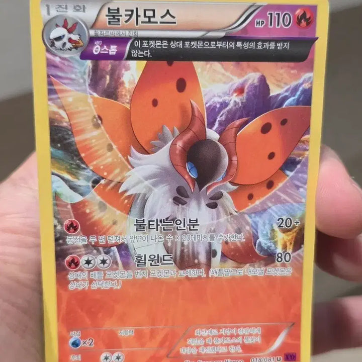 [BUNJANG] Pokemon Card Volcarona 018/081 XY / 포켓몬카드 불카모스 018/0810 XY