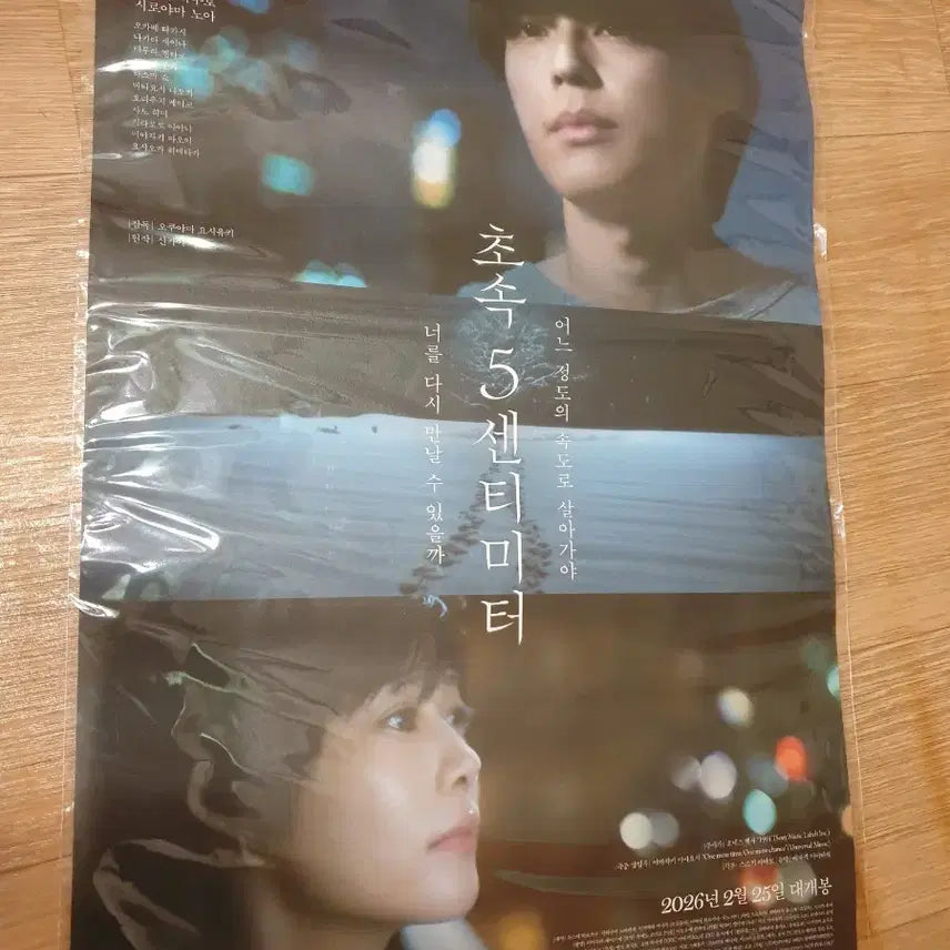 [BUNJANG] 5 Centimeters Per Second Movie Poster / 영화 초속5센티미터 포스터