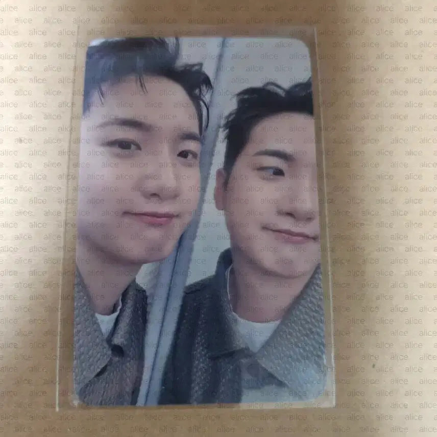 [BUNJANG] Band Lucy Shin Gwangil Photocard / 신광일포카 시루5만원이상랜덤특전 밴드루시포카 lucy cylu