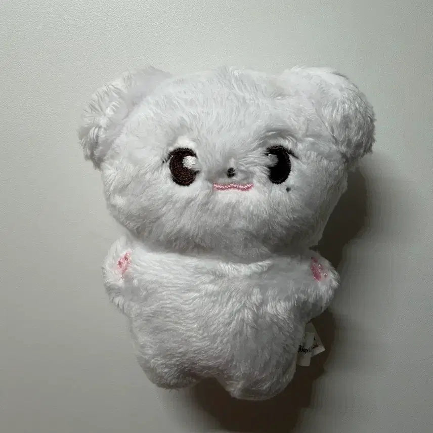 [BUNJANG] IU Jin-Tee-Joo Doll / 징티쥬 양도