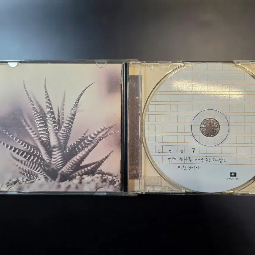 [BUNJANG] Kim Hyun Chul 7th Album CD / SA 김현철 7집 CD
