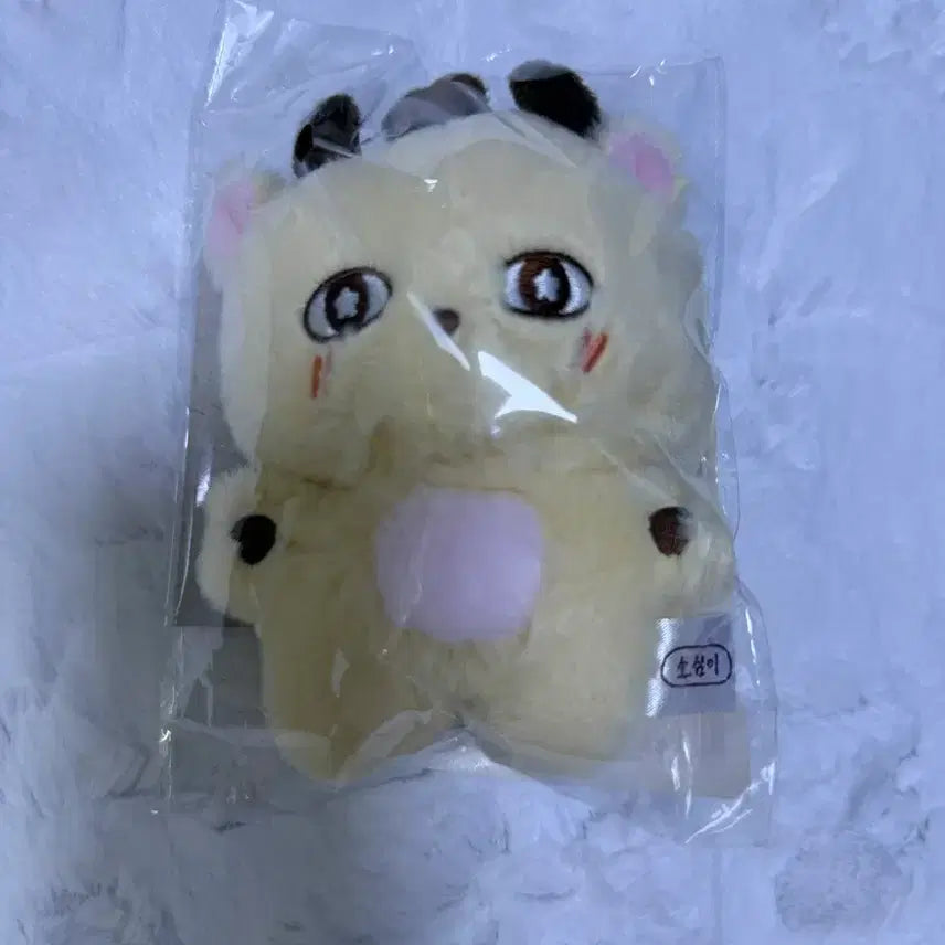[SOLD OUT] 박지훈 소심이 (포카있음)