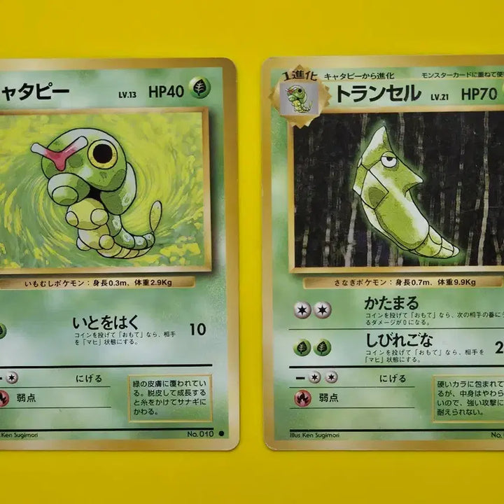 [BUNJANG] Pokemon Card Caterpie &amp; Metapod Set - Early Japanese Edition (1996) / 포켓몬카드 1996 캐터피 단데기 세트 초기 일본판14