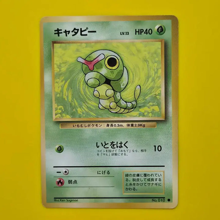 [BUNJANG] Pokemon Card Caterpie &amp; Metapod Set - Early Japanese Edition (1996) / 포켓몬카드 1996 캐터피 단데기 세트 초기 일본판14