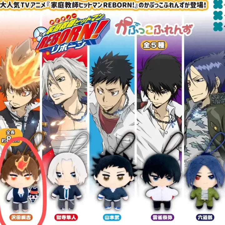 [BUNJANG] Katekyo Hitman Reborn! Tsuna Nuigurumi Gachapon / 가히리 카푸코 가정교사히트맨리본 누이 가챠 츠나