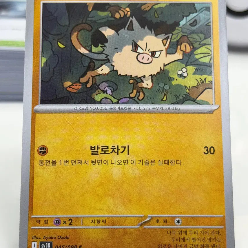 [BUNJANG] Monkey SV10 045/098 Photocard / 망키 sv10 045/098 C (200원)
