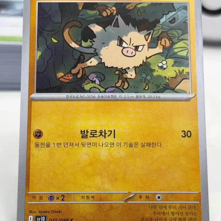 [BUNJANG] Monkey SV10 045/098 Photocard / 망키 sv10 045/098 C (200원)