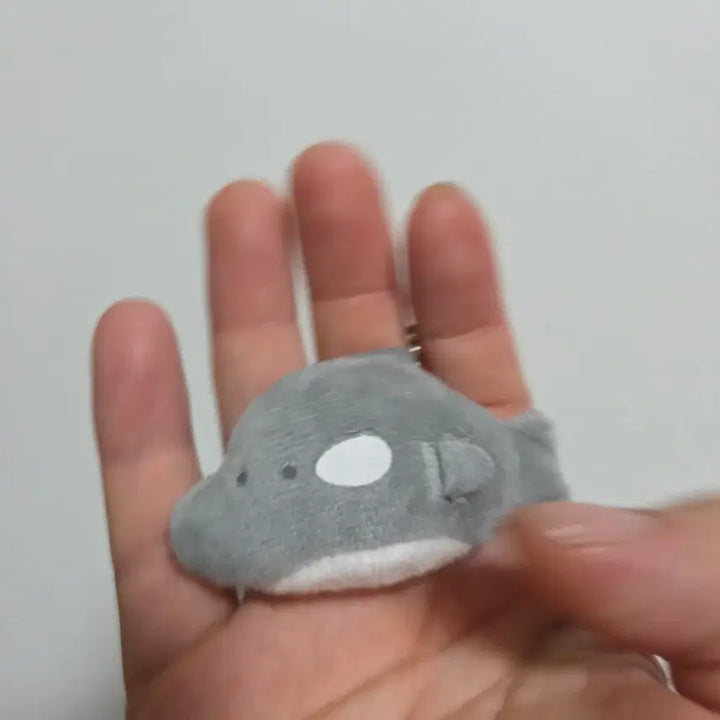 [BUNJANG] Tsuburana Hitomi no Doubutsuen "Eyeball" Orca and Fish Plush Keychain Strap / 츠부라나 히토미노 도부츠엔 눈알 인형 키링 스트랩 열쇠고리 범고래 물고기