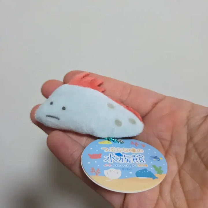 [BUNJANG] Tsuburana Hitomi no Dobutsuen Eyeball Doll Keyring Strap - Bear Cat Fish / 츠부라나 히토미노 도부츠엔 눈알 인형 키링 스트랩 열쇠고리 곰치 물고기