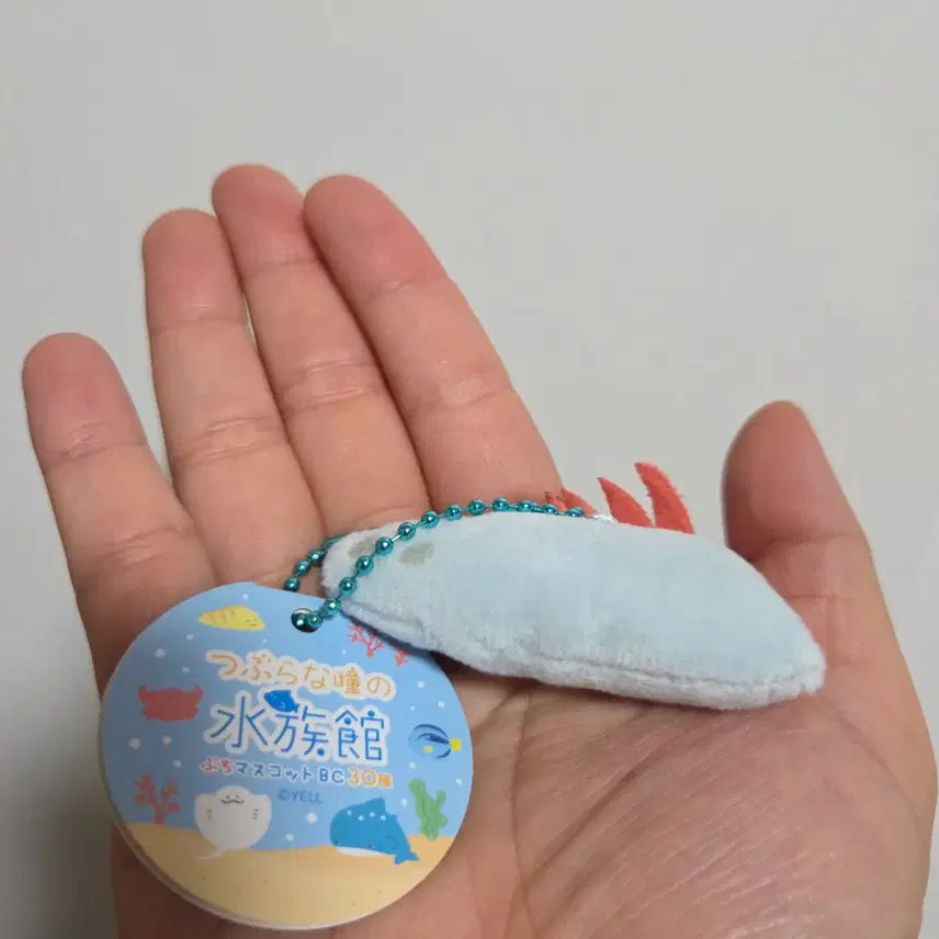 [BUNJANG] Tsuburana Hitomi no Dobutsuen Eyeball Doll Keyring Strap - Bear Cat Fish / 츠부라나 히토미노 도부츠엔 눈알 인형 키링 스트랩 열쇠고리 곰치 물고기