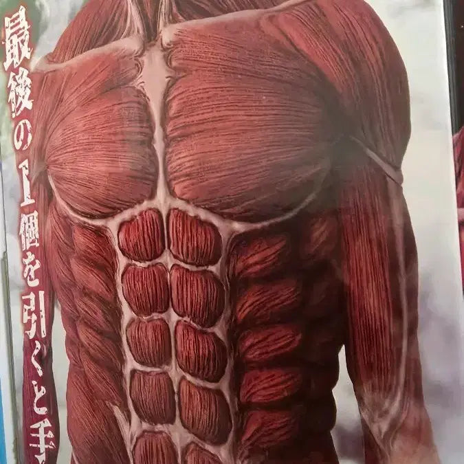 [BUNJANG] Attack on Titan Colossal Titan Rawon Figure (Sealed) / [미개봉]진격의 거인 초대형거인 라원