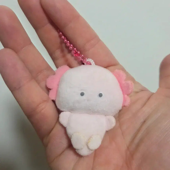 [BUNJANG] Tsuburana Hitomi no Doubutsuen Axolotl Eye Plush Keyring Strap / 츠부라나 히토미노 도부츠엔 눈알 인형 키링 스트랩 열쇠고리 우파루파