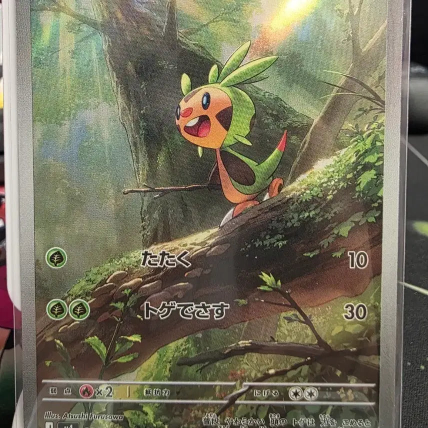 [BUNJANG] Pokemon Card Marshstomp 084/083 AR Japanese / 포켓몬 카드 도치마론 일판 084/083 AR