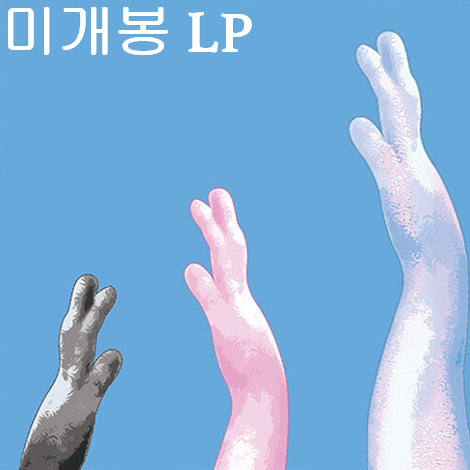 [BUNJANG] Noise and Light 2nd Album &
