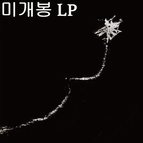 [BUNJANG] So-umbalgwang 1st Album &