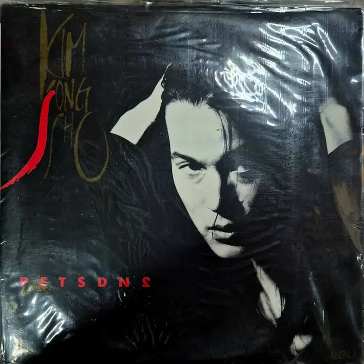 [BUNJANG] Kim Jong Seo PETSDNS LP Sealed / 김종서 PETSDNS LP 미개봉