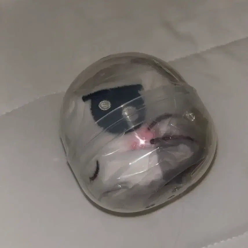 [BUNJANG] Hamtaroh Coin Pouch / (미개봉)햄토리 동전지갑 파우치 가챠 얌얌이