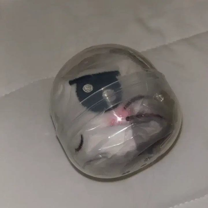 [BUNJANG] Hamtaroh Coin Pouch / (미개봉)햄토리 동전지갑 파우치 가챠 얌얌이