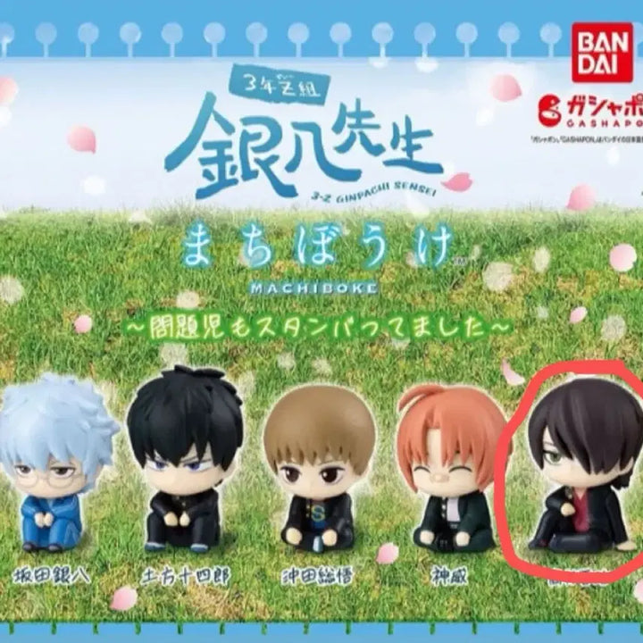 [BUNJANG] Gintama 3Z Machi-Boke Takasugi Sealed / (미개봉) 은혼 삼젯 마치보케 타카스기