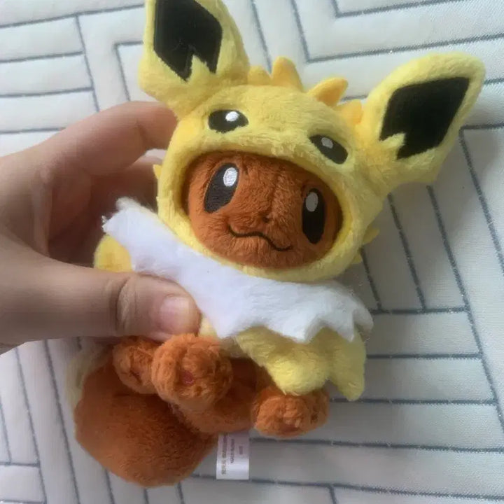 [SOLD OUT] 포켓몬스터 이브이 판초 키링
