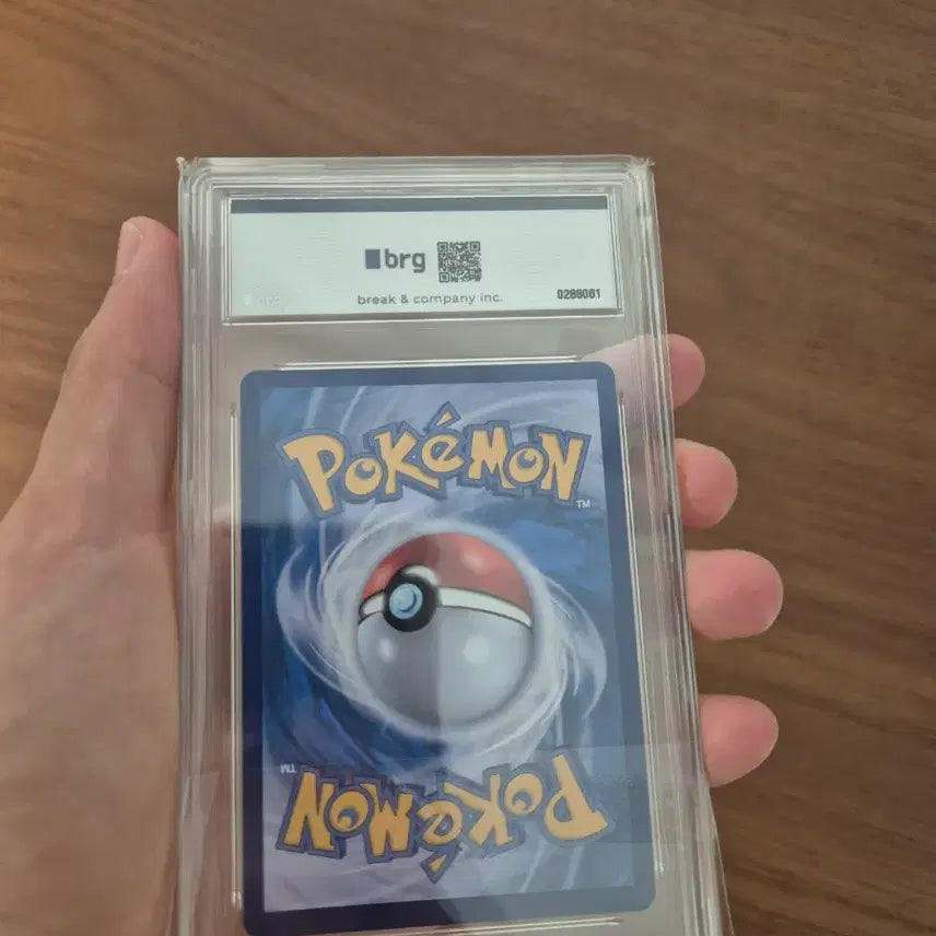 [BUNJANG] Mega Charizard X EX SAR Card / 메가리자몽x ex sar 판및교