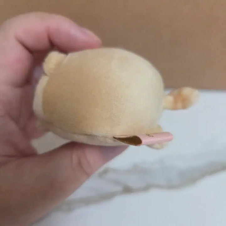 [BUNJANG] San-X Sumikko Gurashi Neko Tenori Doll (Reissue Random) / 산엑스 스밋코구라시 스미코구라시 네코 테노리 인형 복각 랜덤
