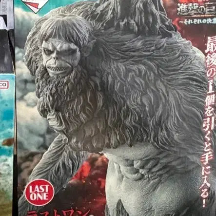 [BUNJANG] Attack on Titan Beast Titan Laiwan Sealed / 진격의거인 짐승거인라원 미개봉 (16.5)