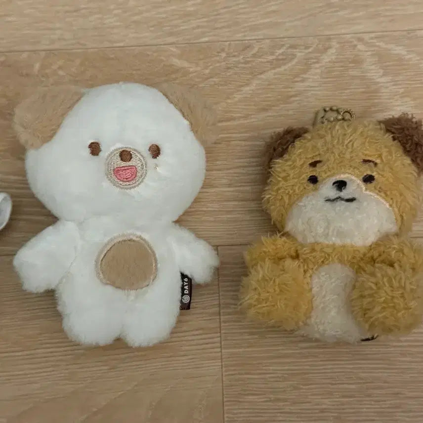 [BUNJANG] Day6 2nd Gen Petite MeruZ Sitting MeruZ DON Doll Bundle Set / 데이식스 쁘띠멀즈, 앉은멀즈 돈 인형 일괄