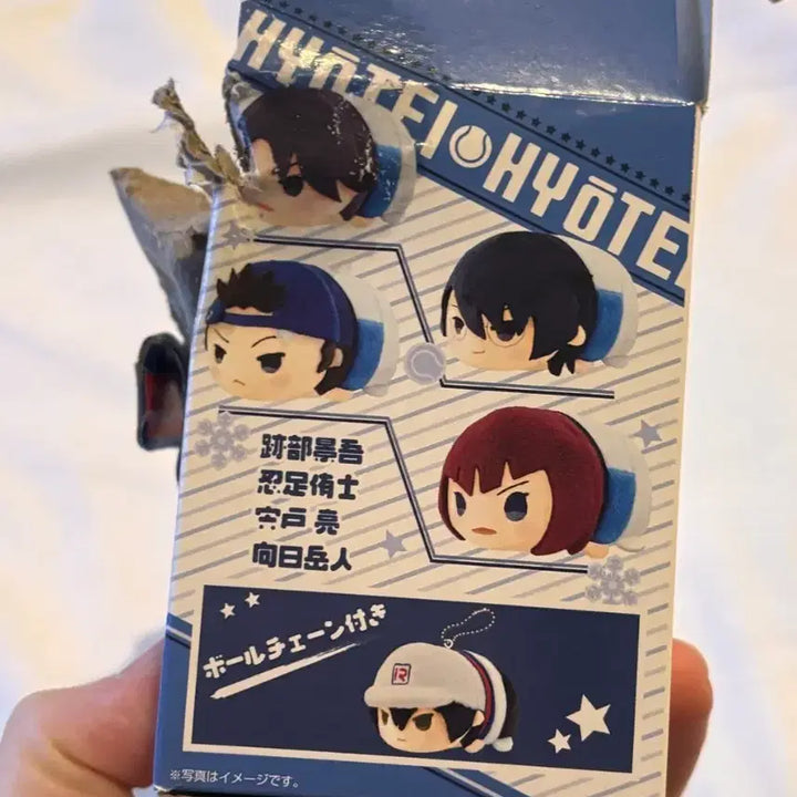 [BUNJANG] The Prince of Tennis Yushi Oshitari Mochi Mochi Plush / 테니스의왕자 모찌모찌 인형 오시타리유시