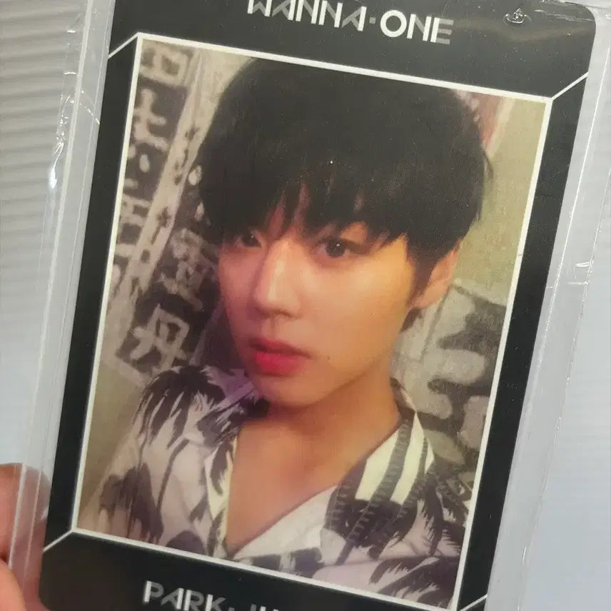 [BUNJANG] Wanna One Park Jihoon Photocard / 워너원 박지훈 포카
