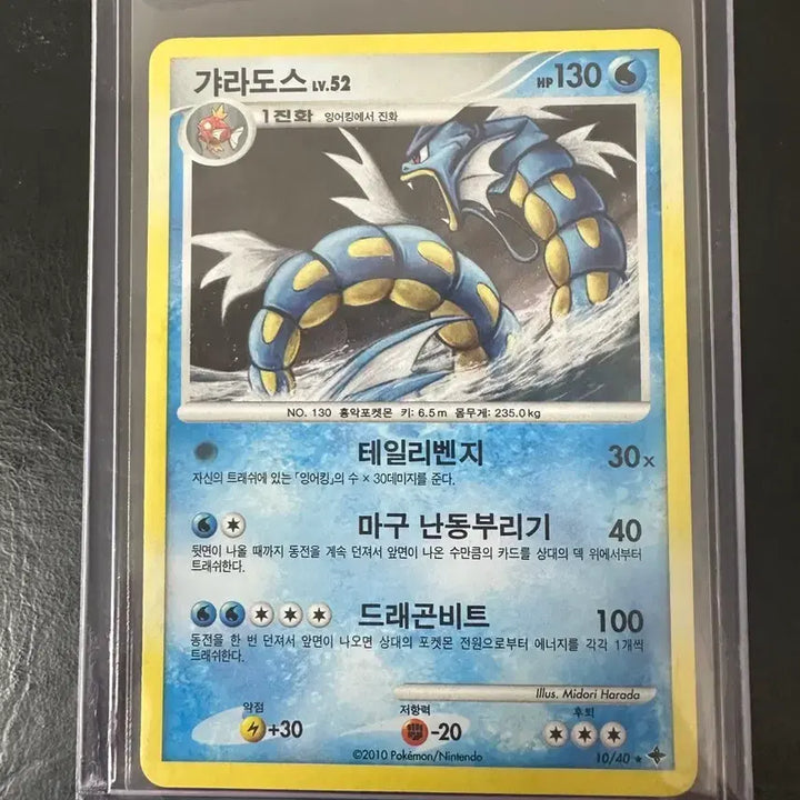 [BUNJANG] Gyarados Ancient 2010 Card / 갸라도스 고대 2010 카드